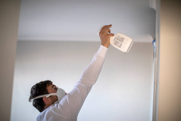 Best Certified Mold Removal  in Plainwell, MI